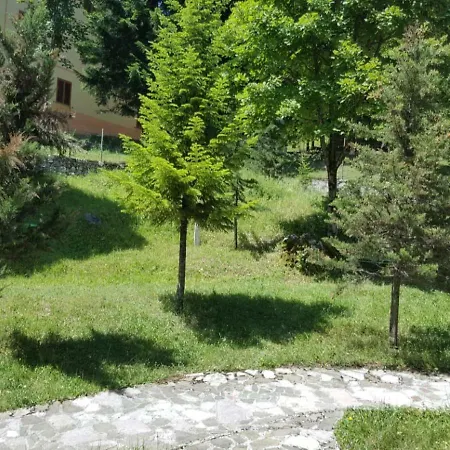 Hotel Perla E Alpeve Theth